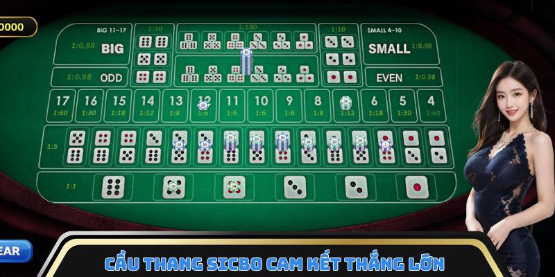 Cầu thang Sicbo cam kết thắng lớn