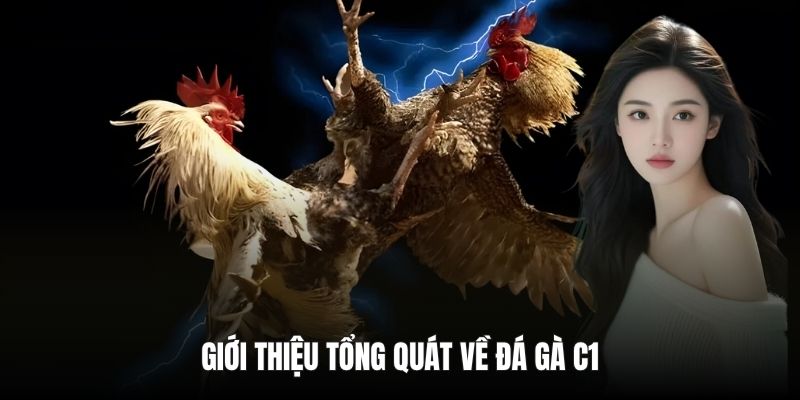 Giới thiệu tổng quát về đá gà C1