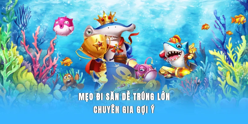 Mẹo đi săn dễ trúng lớn chuyên gia gợi ý