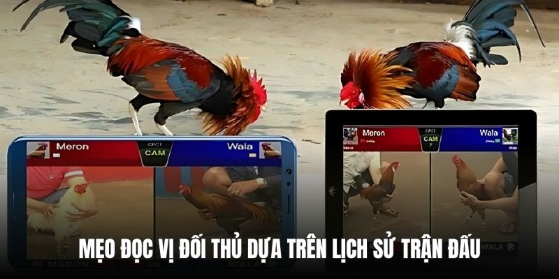 Mẹo đọc vị đối thủ dựa trên lịch sử trận đấu