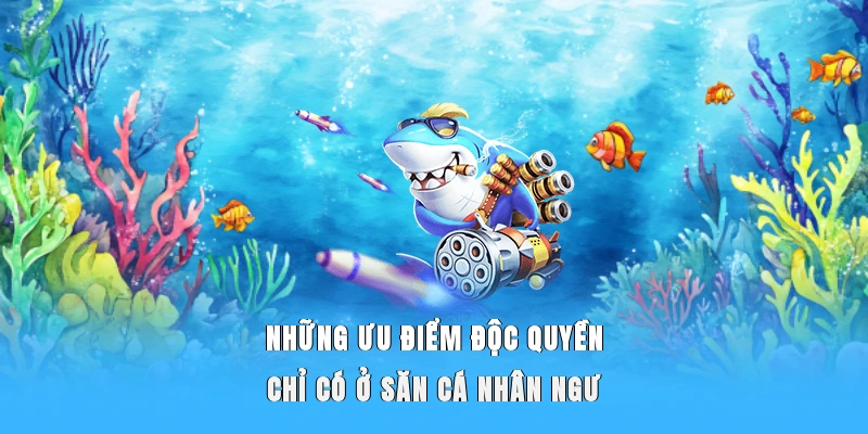Những ưu điểm độc quyền chỉ có ở săn cá nhân ngư