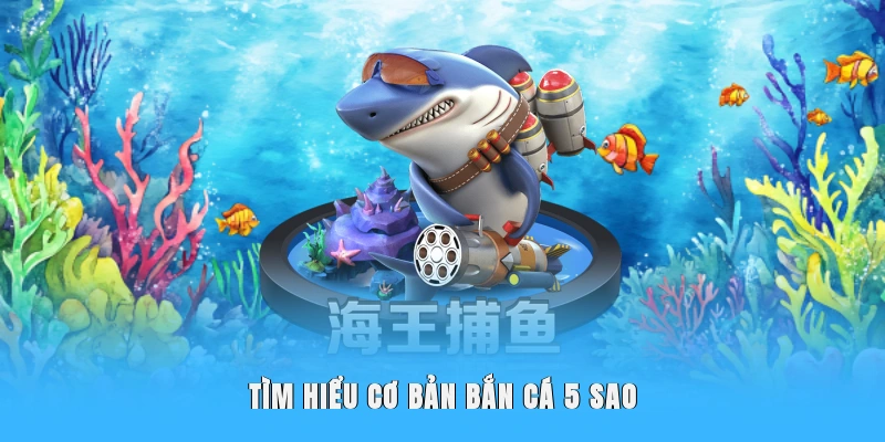 Tìm hiểu cơ bản bắn cá 5 sao